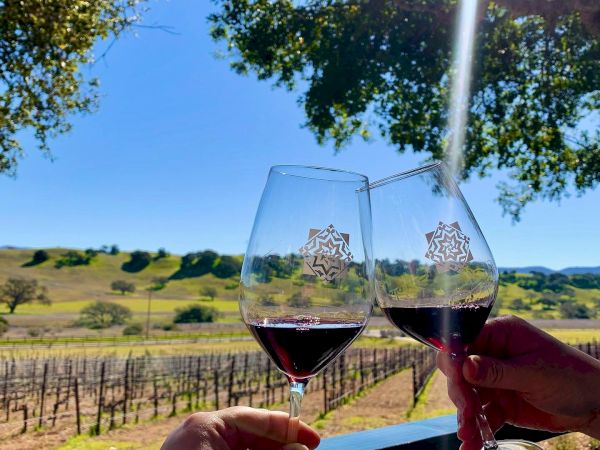 Two people clinking wine glasses in a scenic vineyard setting with clear skies and lush green fields in the background.