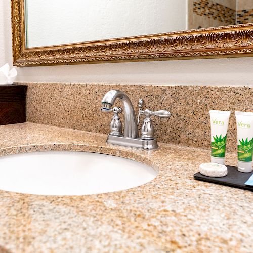 A bathroom countertop with a sink, a tissue box, two tubes of aloe vera lotion, a bar of soap, and a packet of shampoo placed next to a mirror.