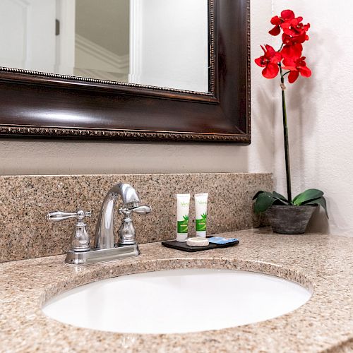 A bathroom sink area with a large mirror above, a granite countertop, a faucet, toiletries, and a potted red orchid.