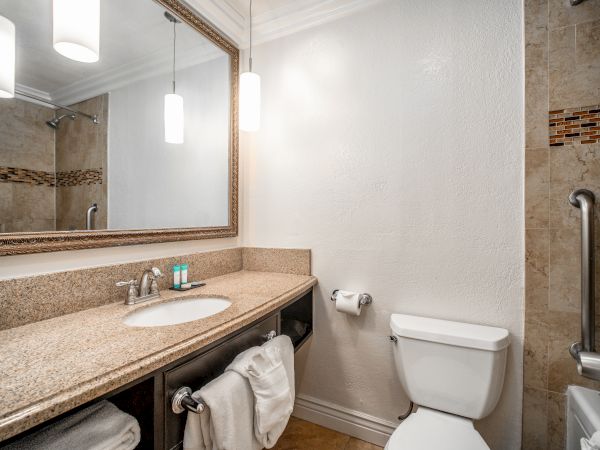 The image shows a modern bathroom with a large mirror, sink, granite countertop, toilet, shower, and white towels hanging below the sink.